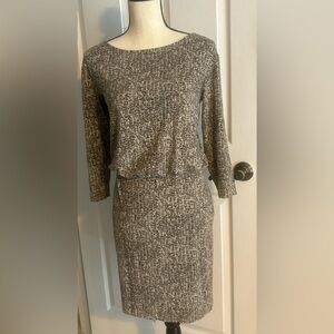 Ann Taylor Animal Print Knit Dress 3/4 Sleeves Straight Skirt Sz 2 Runs Big